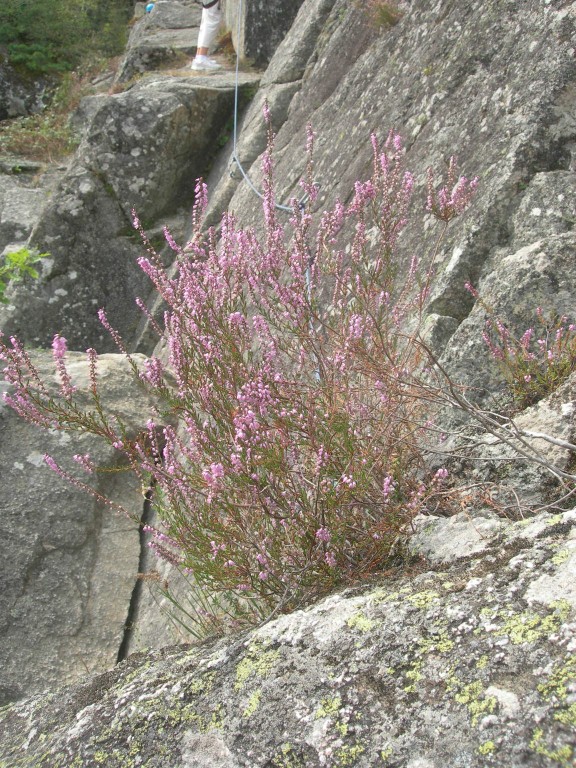 DSCN9033.JPG