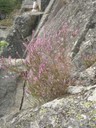 DSCN9033.JPG