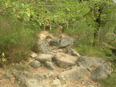 DSCN9035.JPG