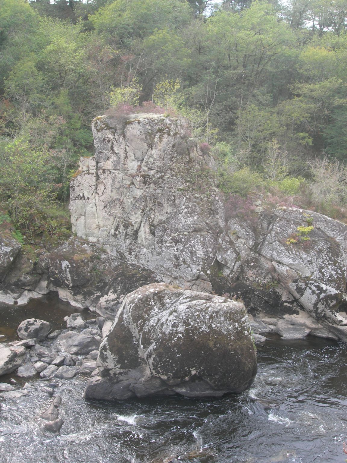 DSCN9036.JPG