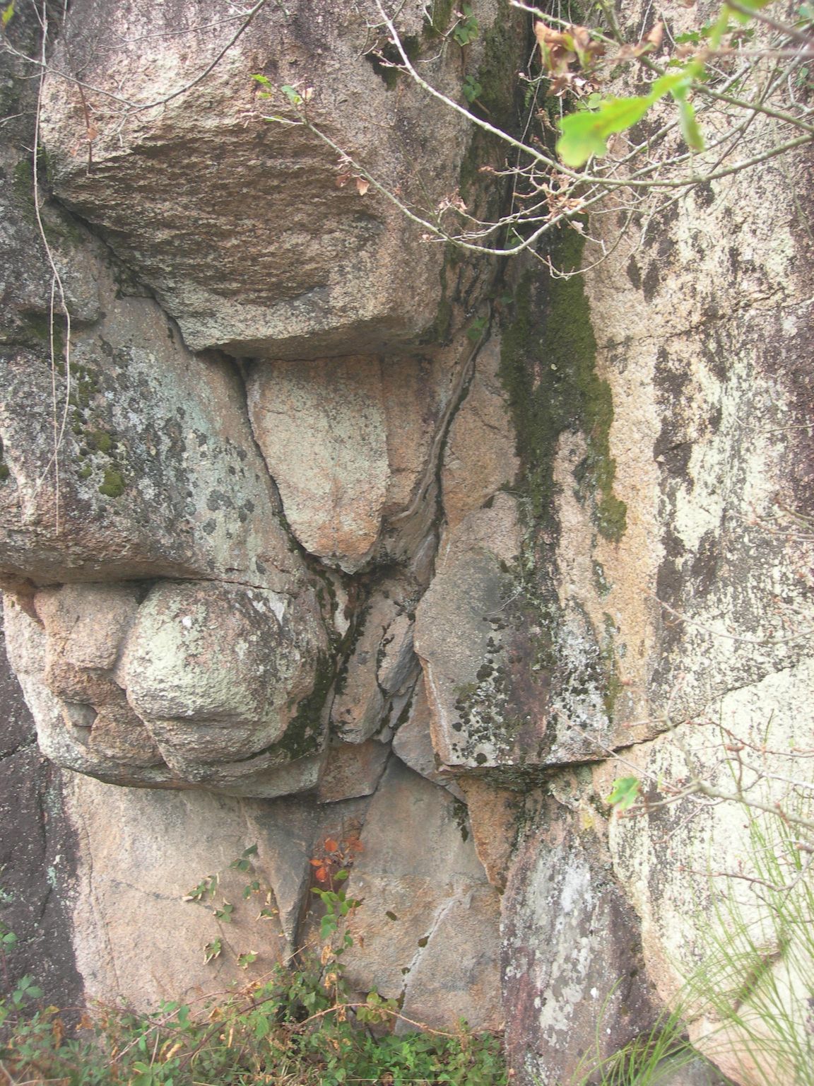 DSCN9037.JPG