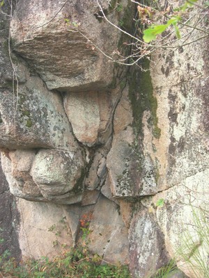 DSCN9037.JPG
