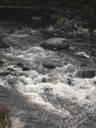 DSCN9041.JPG
