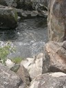 DSCN9042.JPG