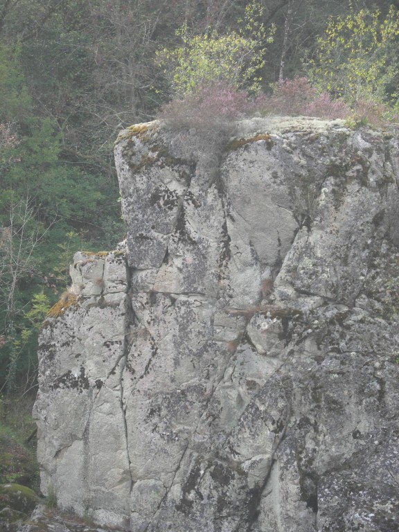 DSCN9047.JPG