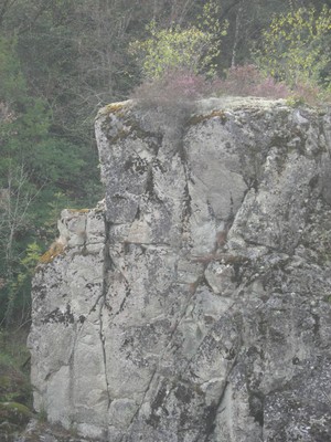 DSCN9047.JPG