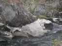 DSCN9048.JPG