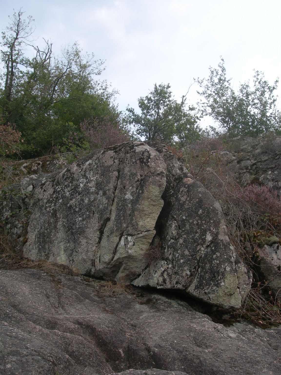 DSCN9081.JPG