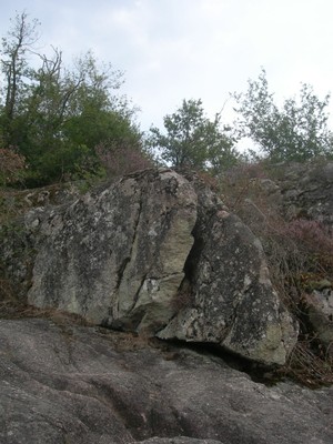 DSCN9081.JPG