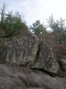 DSCN9081.JPG