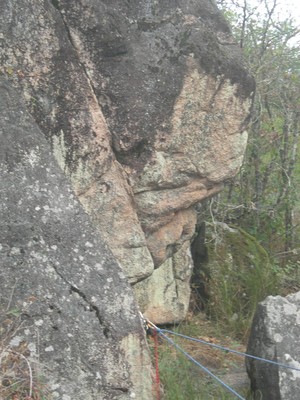 DSCN9085.JPG