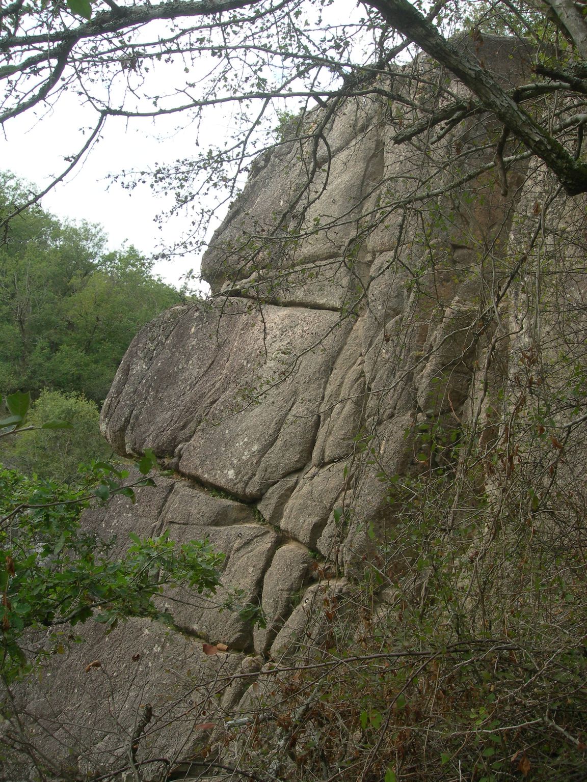 DSCN9091.JPG