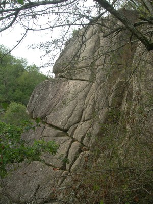 DSCN9091.JPG