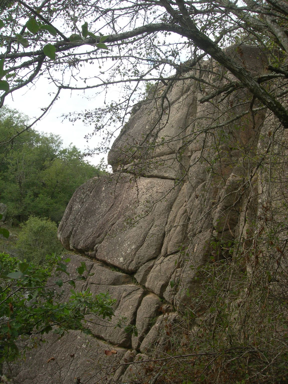 DSCN9092.JPG