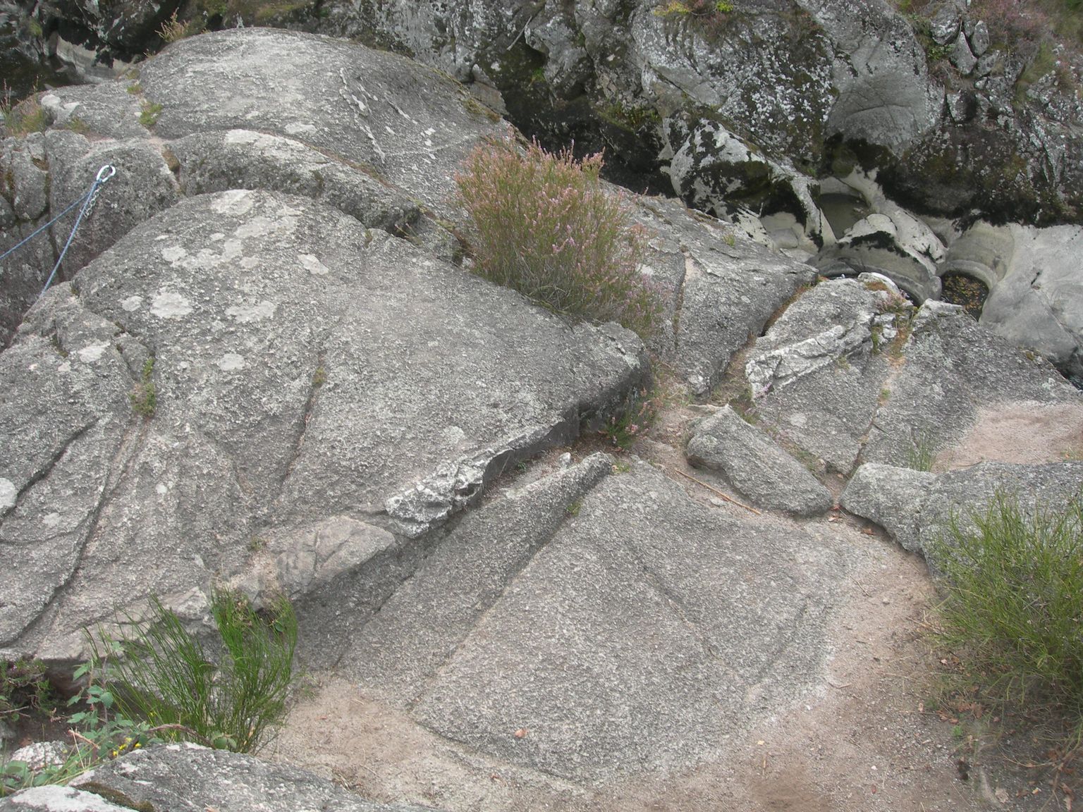 DSCN9093.JPG