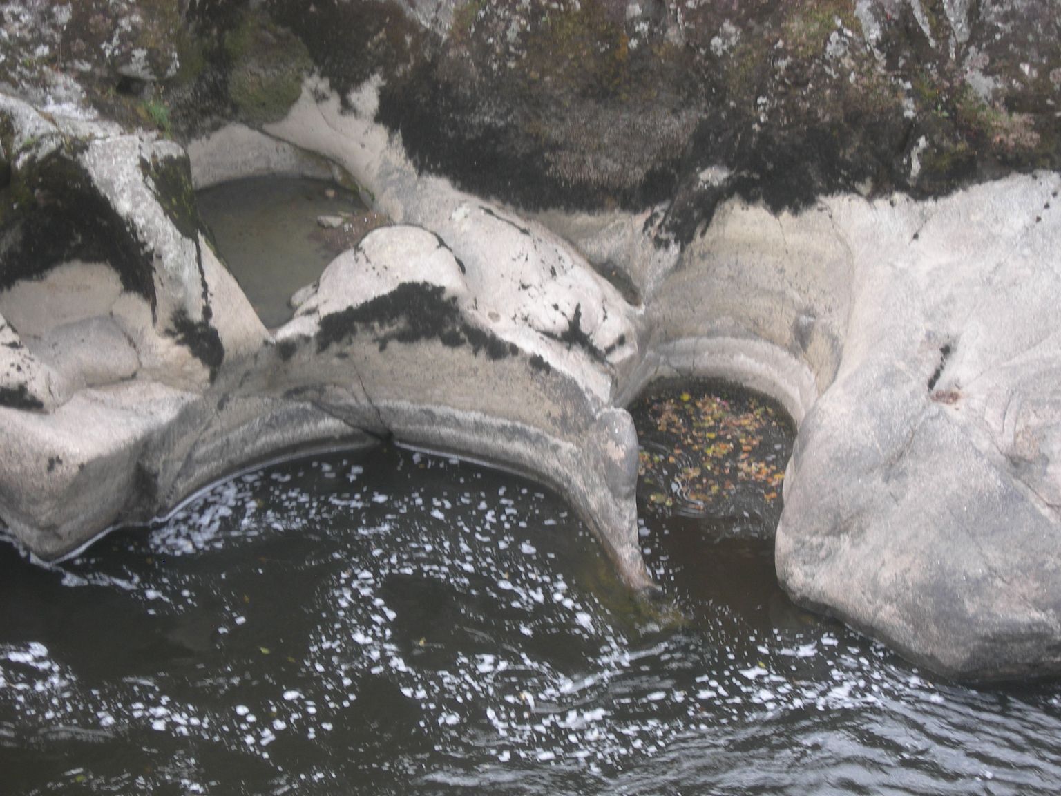 DSCN9095.JPG