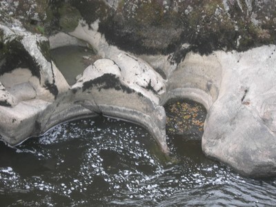 DSCN9095.JPG