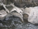 DSCN9095.JPG