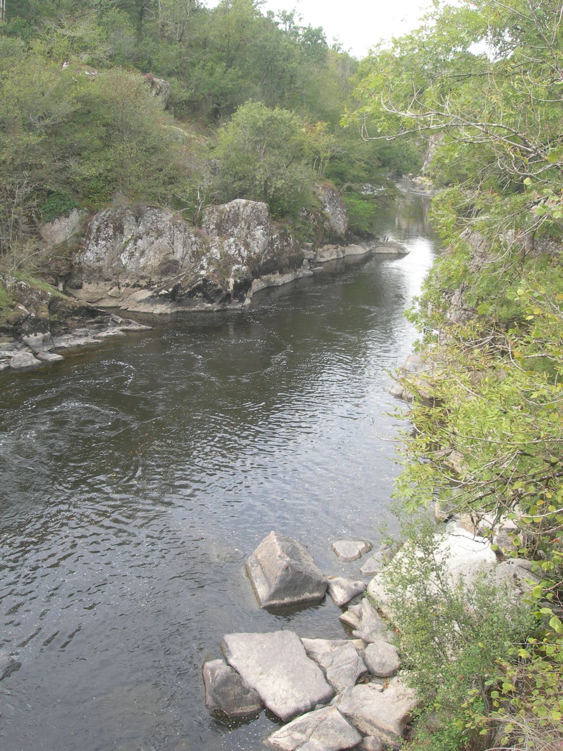 DSCN9096.JPG