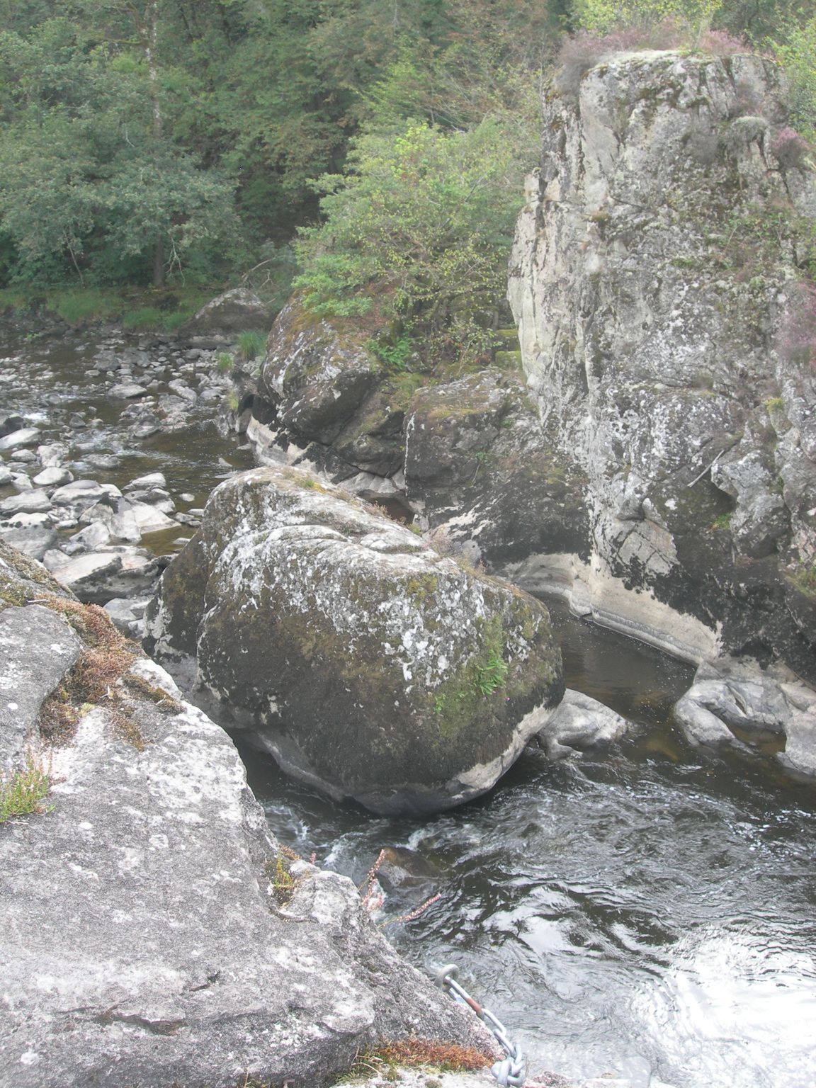 DSCN9097.JPG