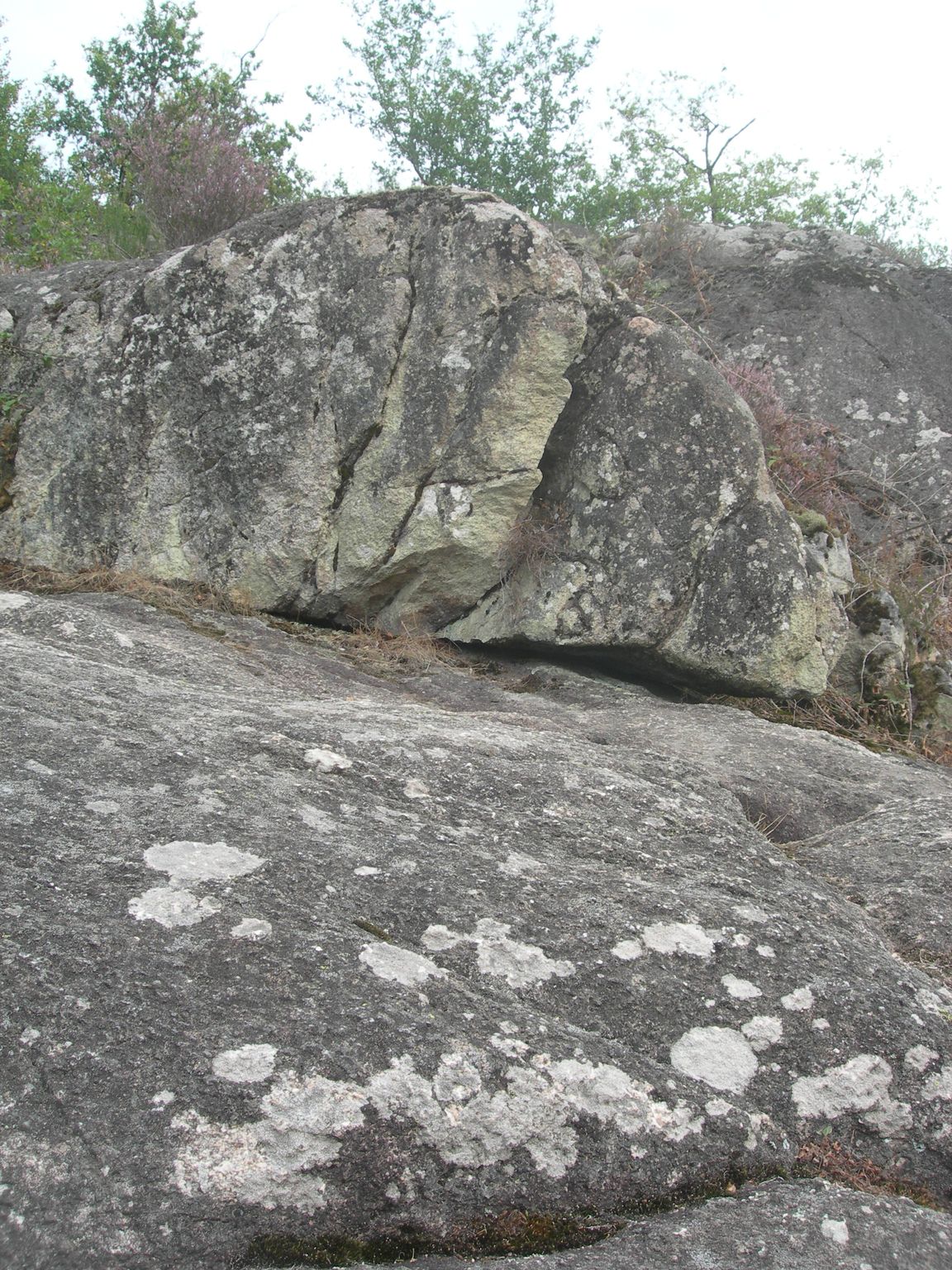 DSCN9098.JPG