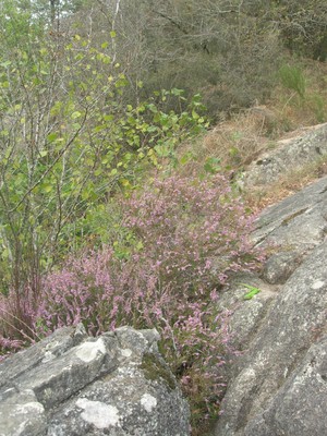 DSCN9099.JPG
