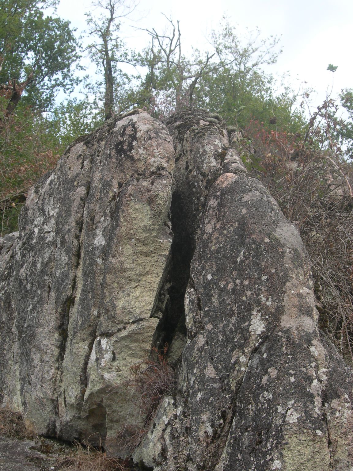 DSCN9103.JPG