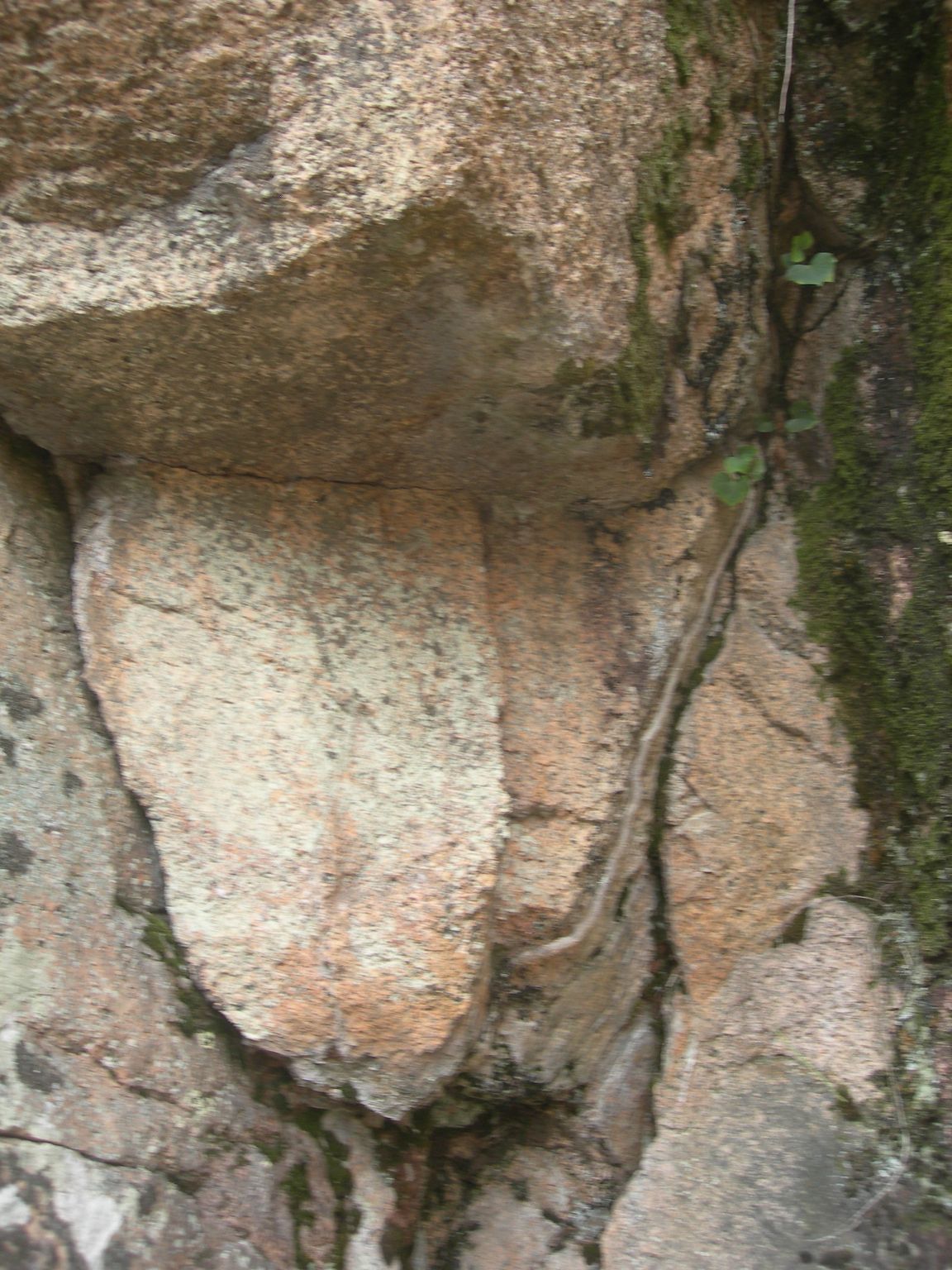 DSCN9111.JPG