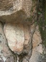 DSCN9111.JPG