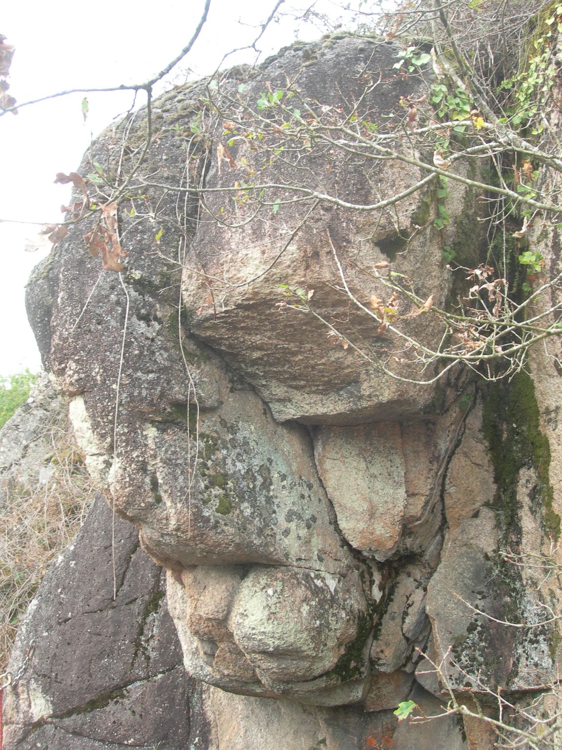 DSCN9112.JPG