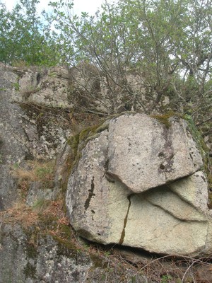 DSCN9113.JPG
