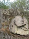 DSCN9113.JPG
