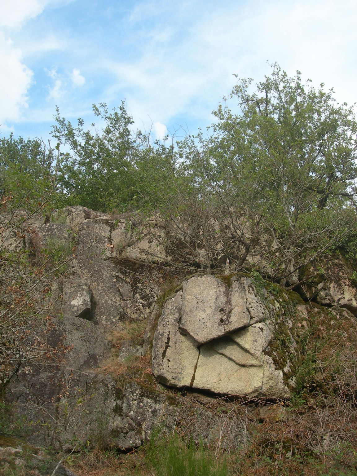 DSCN9116.JPG