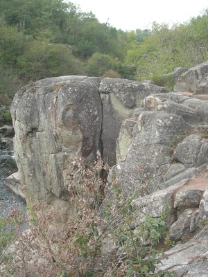 DSCN9117.JPG