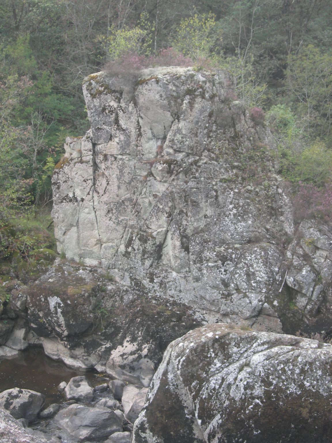 DSCN9119.JPG