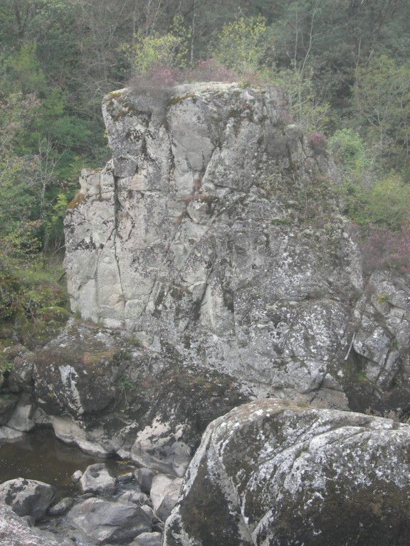 DSCN9119.JPG