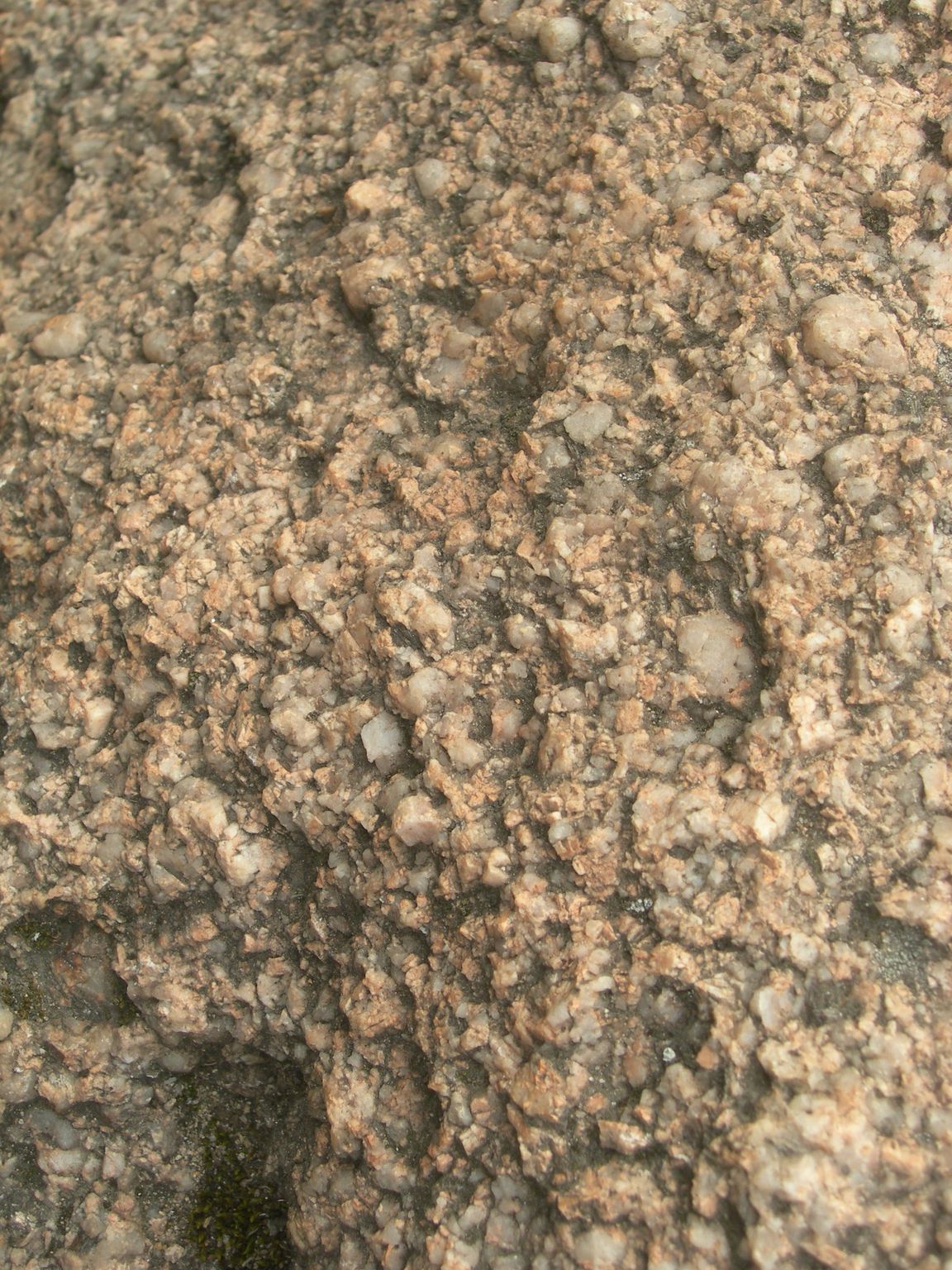 DSCN9120.JPG