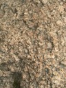 DSCN9120.JPG