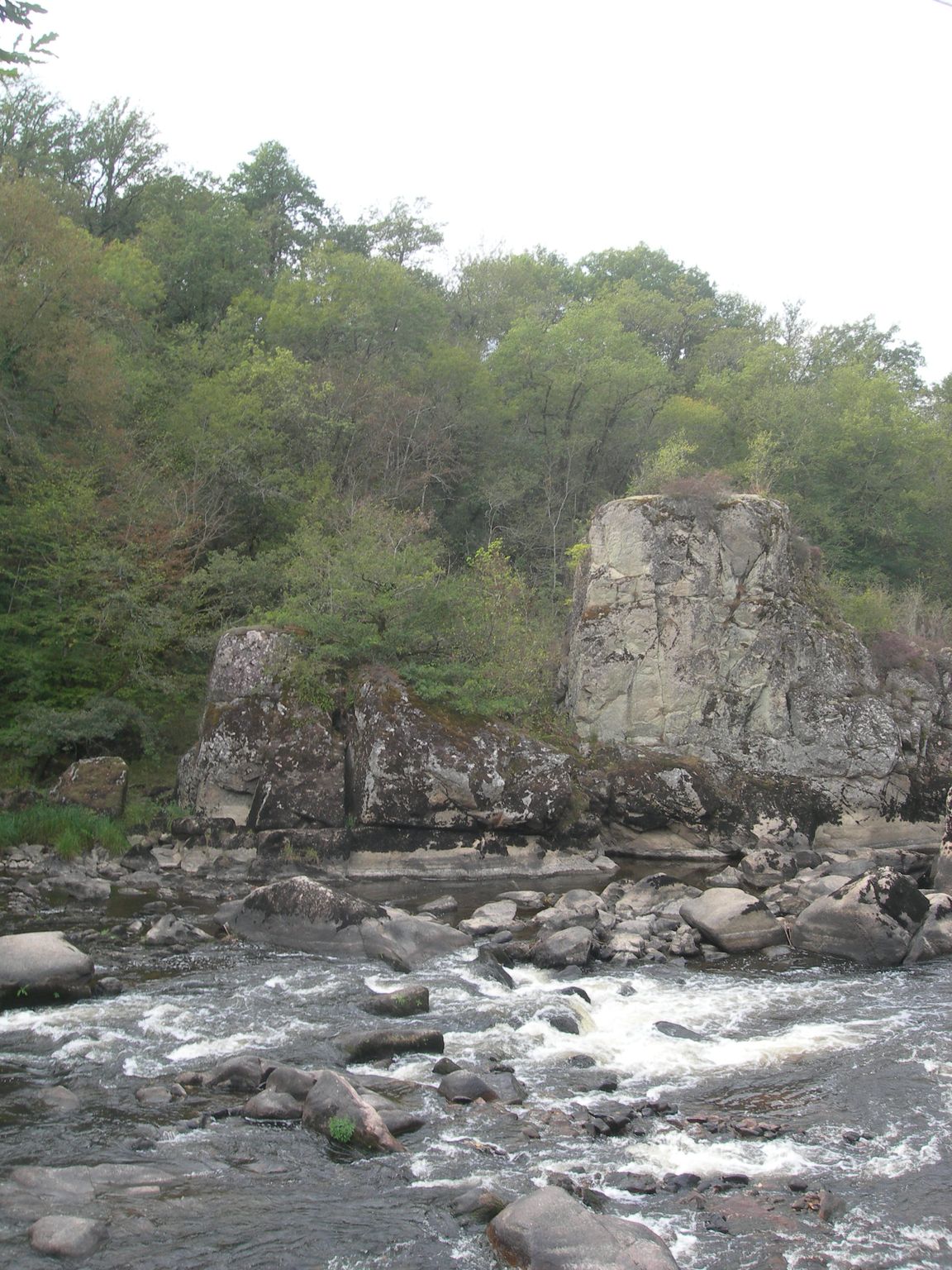 DSCN9126.JPG