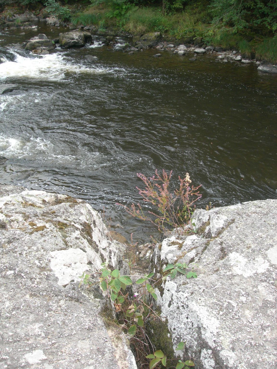 DSCN9136.JPG