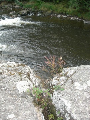 DSCN9136.JPG