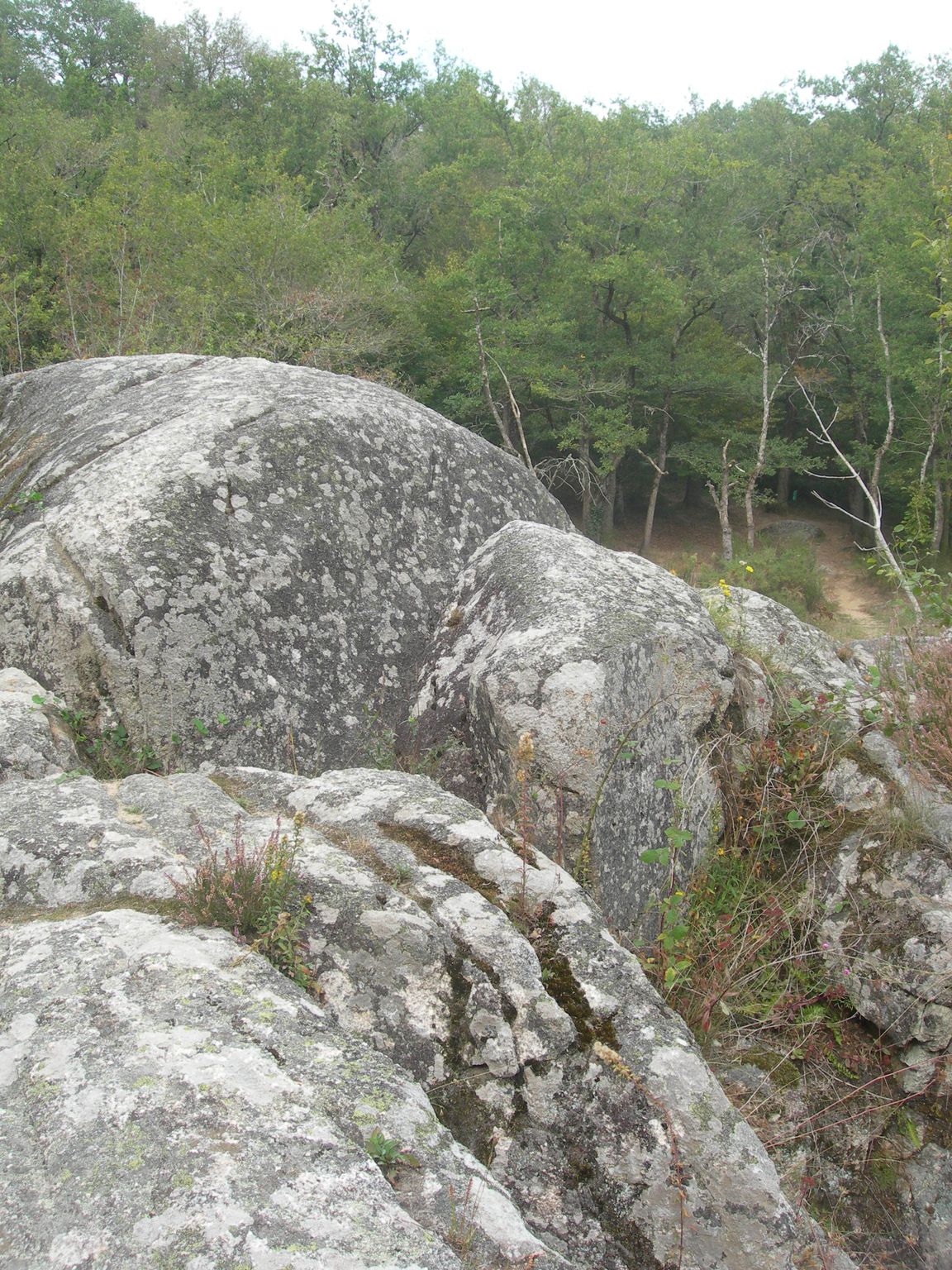 DSCN9137.JPG