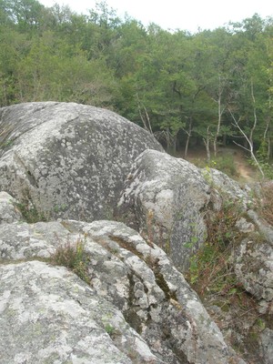 DSCN9137.JPG