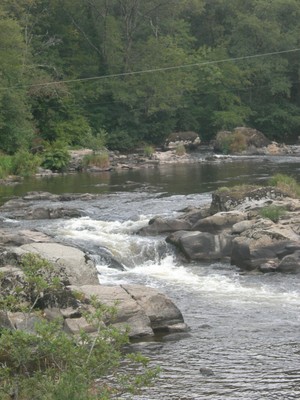 DSCN9138.JPG