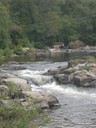 DSCN9138.JPG