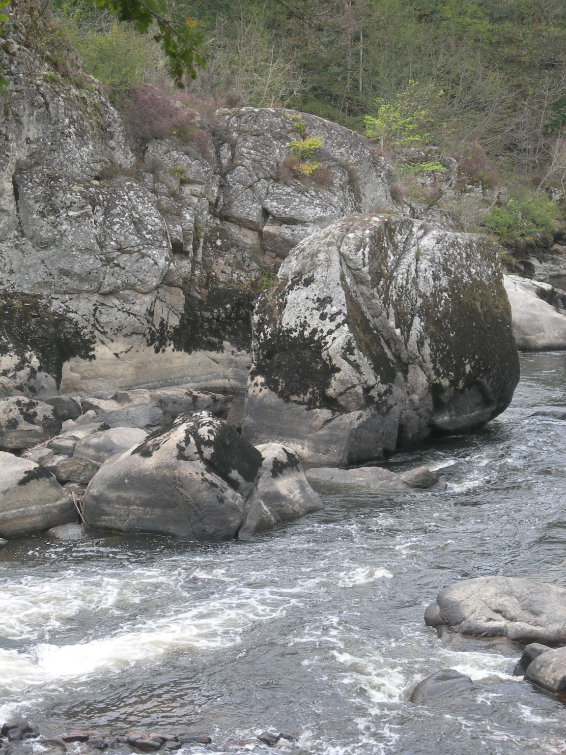 DSCN9139.JPG
