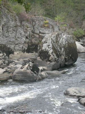 DSCN9139.JPG