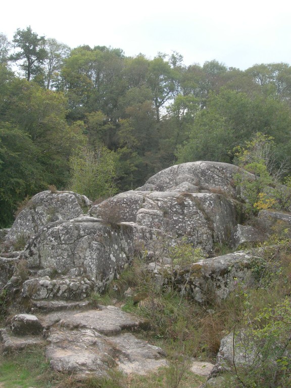 DSCN9141.JPG