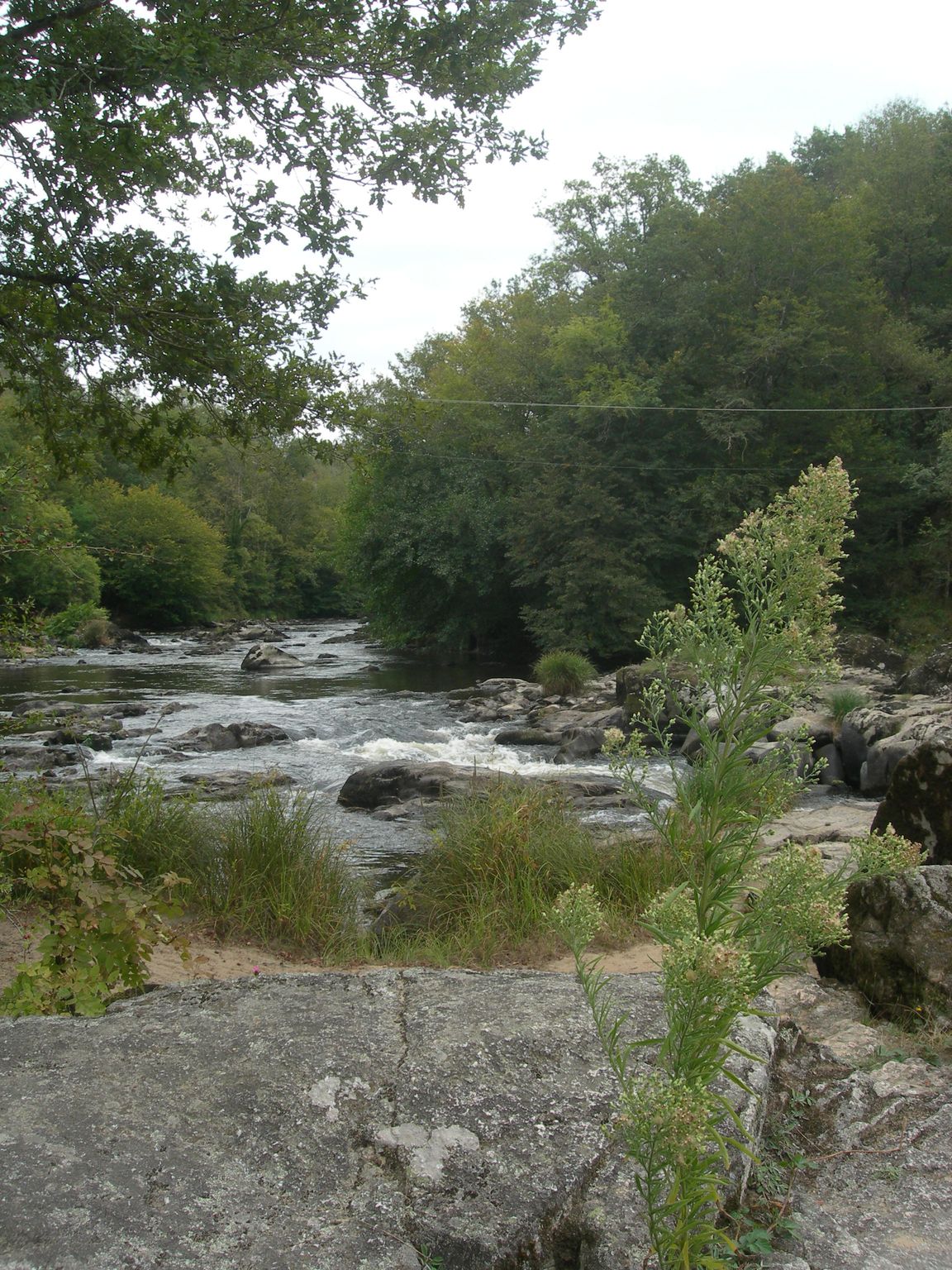 DSCN9142.JPG