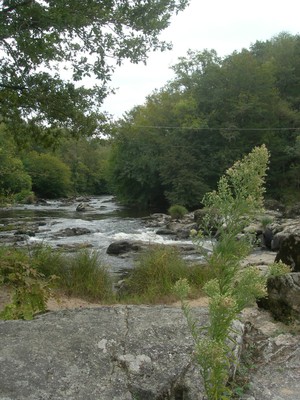 DSCN9142.JPG